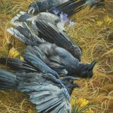 a crow painting by John C. Pitcher