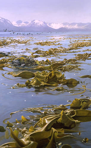 Oil painting of Alaskan Kelp beds by John C. Pitcher
