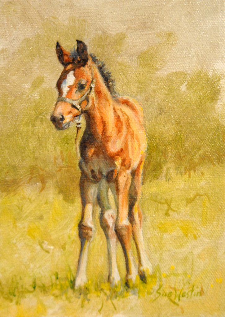 horse foal oil painting by Sue Westin