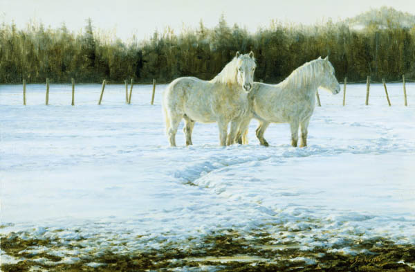 White horses oil painting by Sue Westin