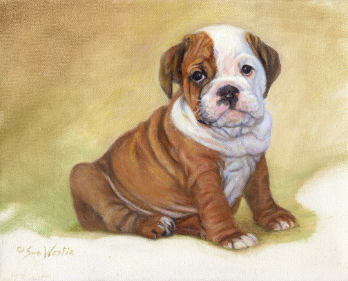 Baby Bulldog oil painting by Sue Westin